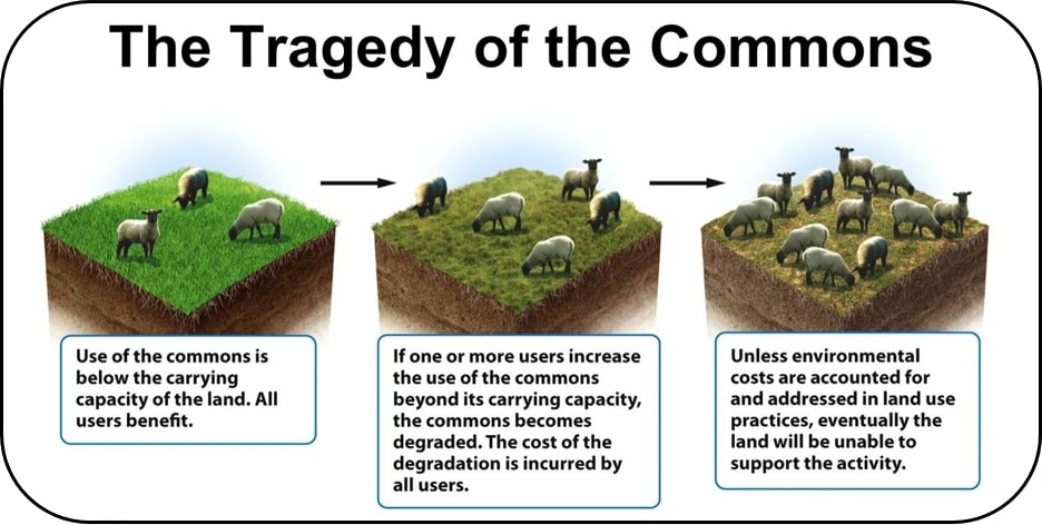 Figure 1:  A Pictorial Representation of 'The Tragedy of the Commons' Environmental Conundrum